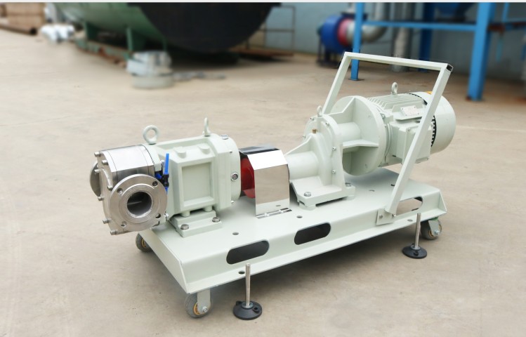 什么是轉子泵 什么是轉子泵